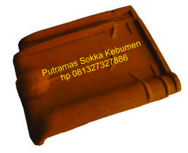 kodok
